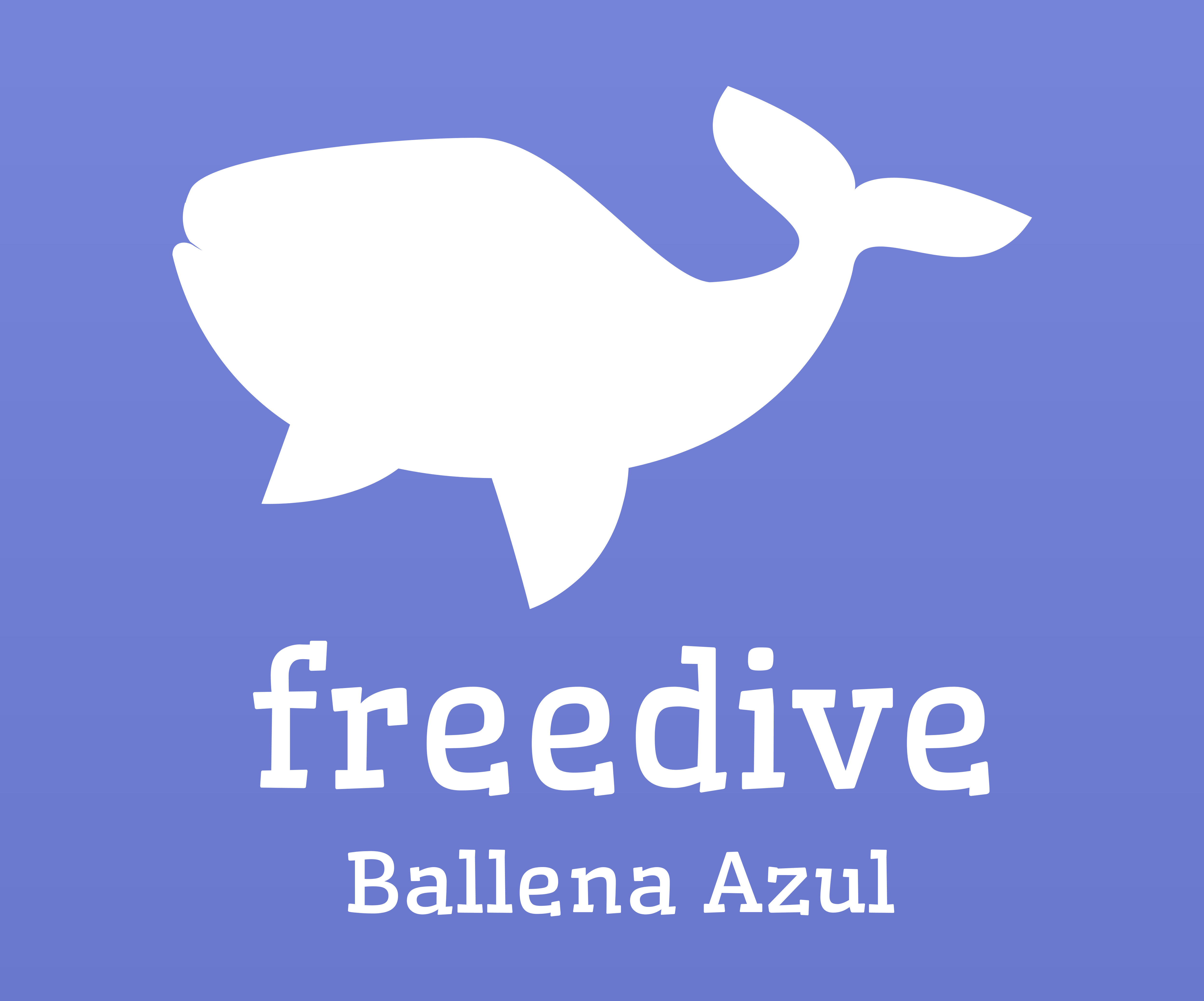 Freedive Ballena Azul